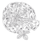 pizza serwowana w restauracja Włochy- Semola